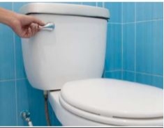 Why You Should Always Close the Toilet Lid Before Flushing: A Simple Habit That Protects Your Health